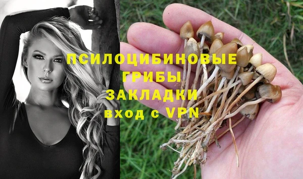 гидропоника Алзамай