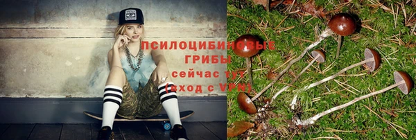 каннабис Алексеевка