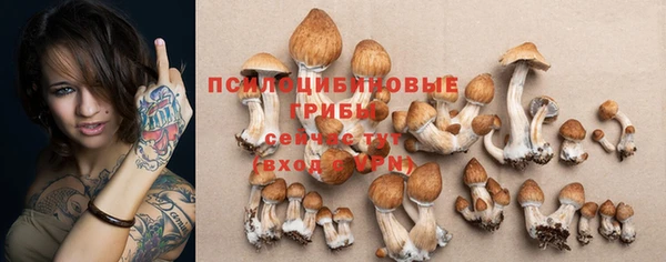 бошки Абаза